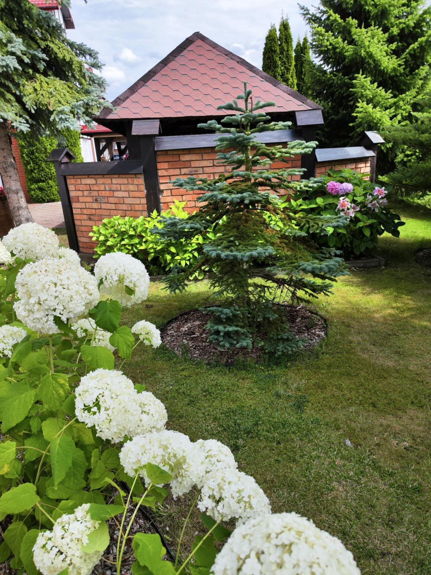 Michalek W Rowach Bed & Breakfast Rowy  Bagian luar foto