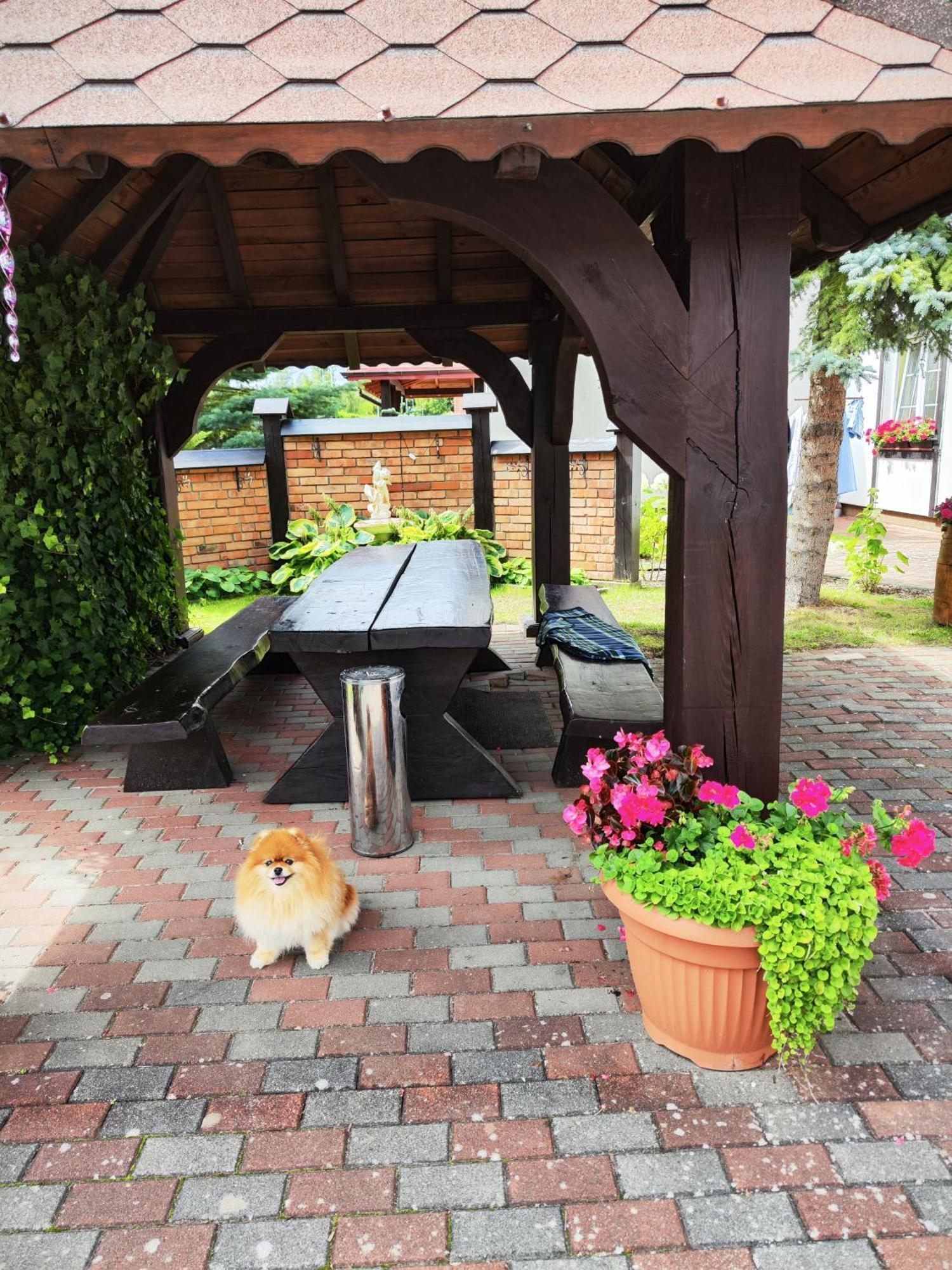Michalek W Rowach Bed & Breakfast Rowy  Bagian luar foto