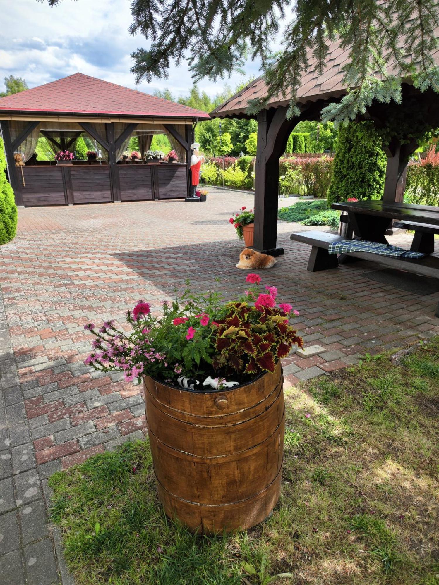 Michalek W Rowach Bed & Breakfast Rowy  Bagian luar foto