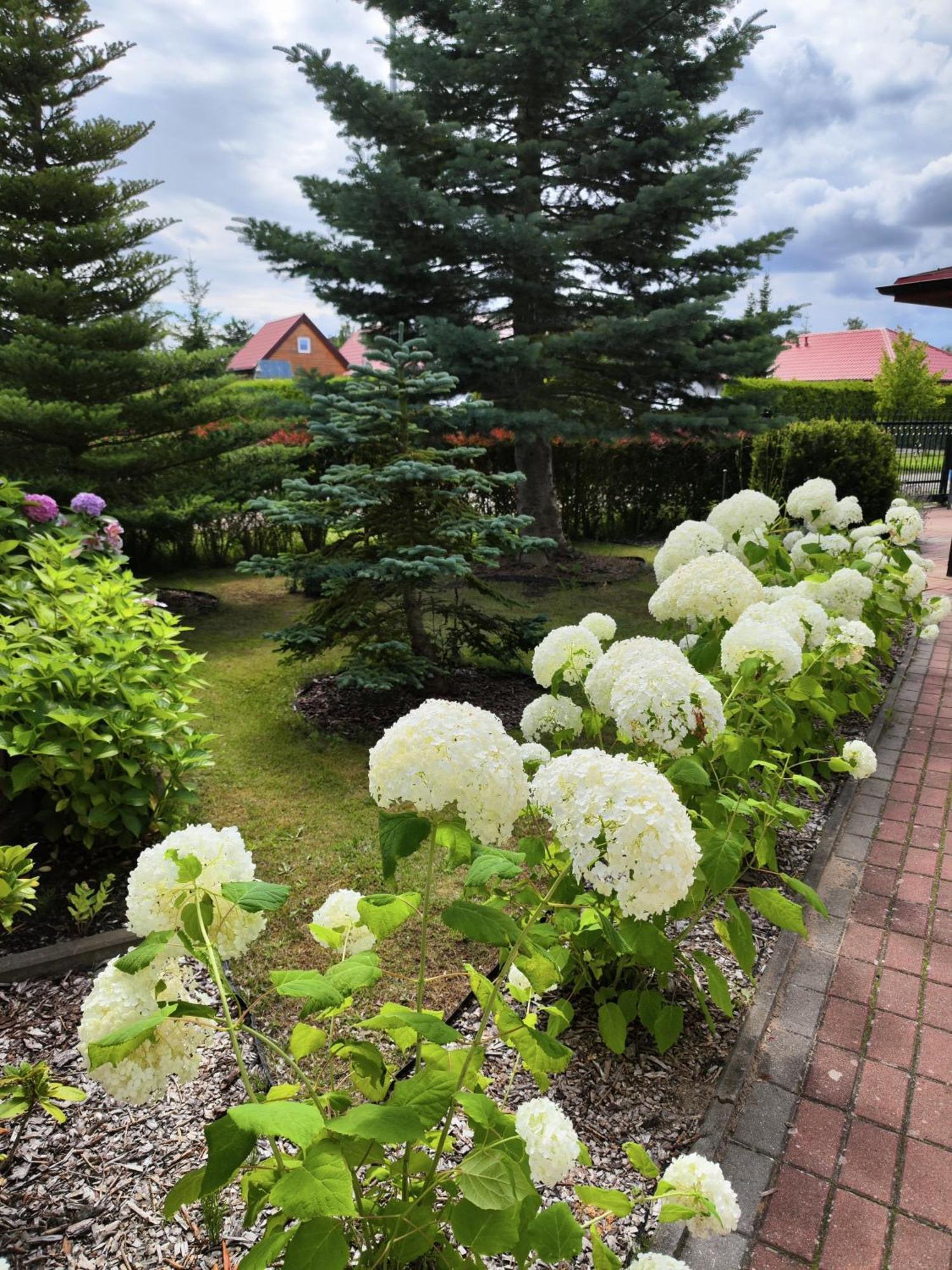 Michalek W Rowach Bed & Breakfast Rowy  Bagian luar foto